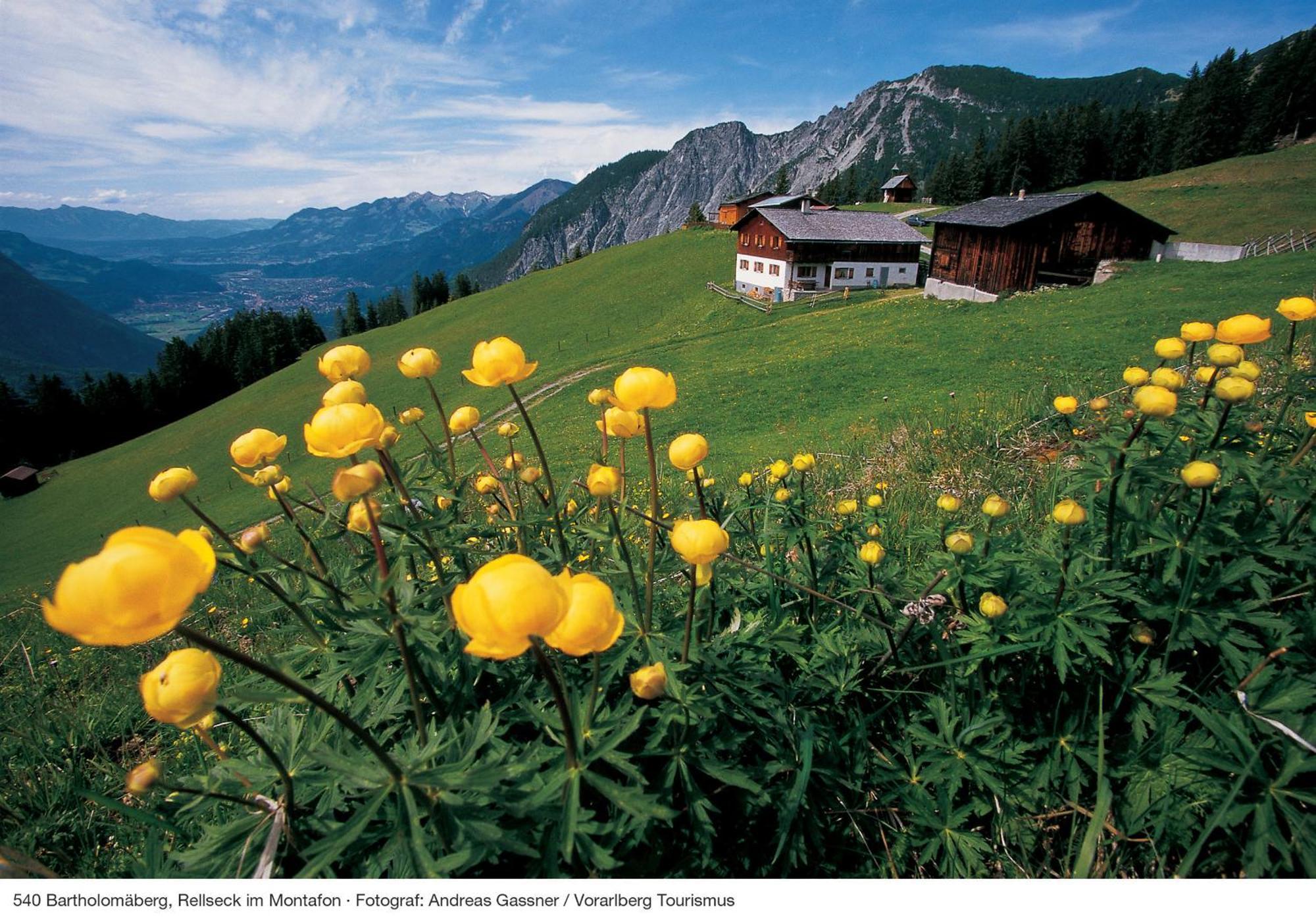 Alpine Lodge Kloesterle Am Arlberg Номер фото